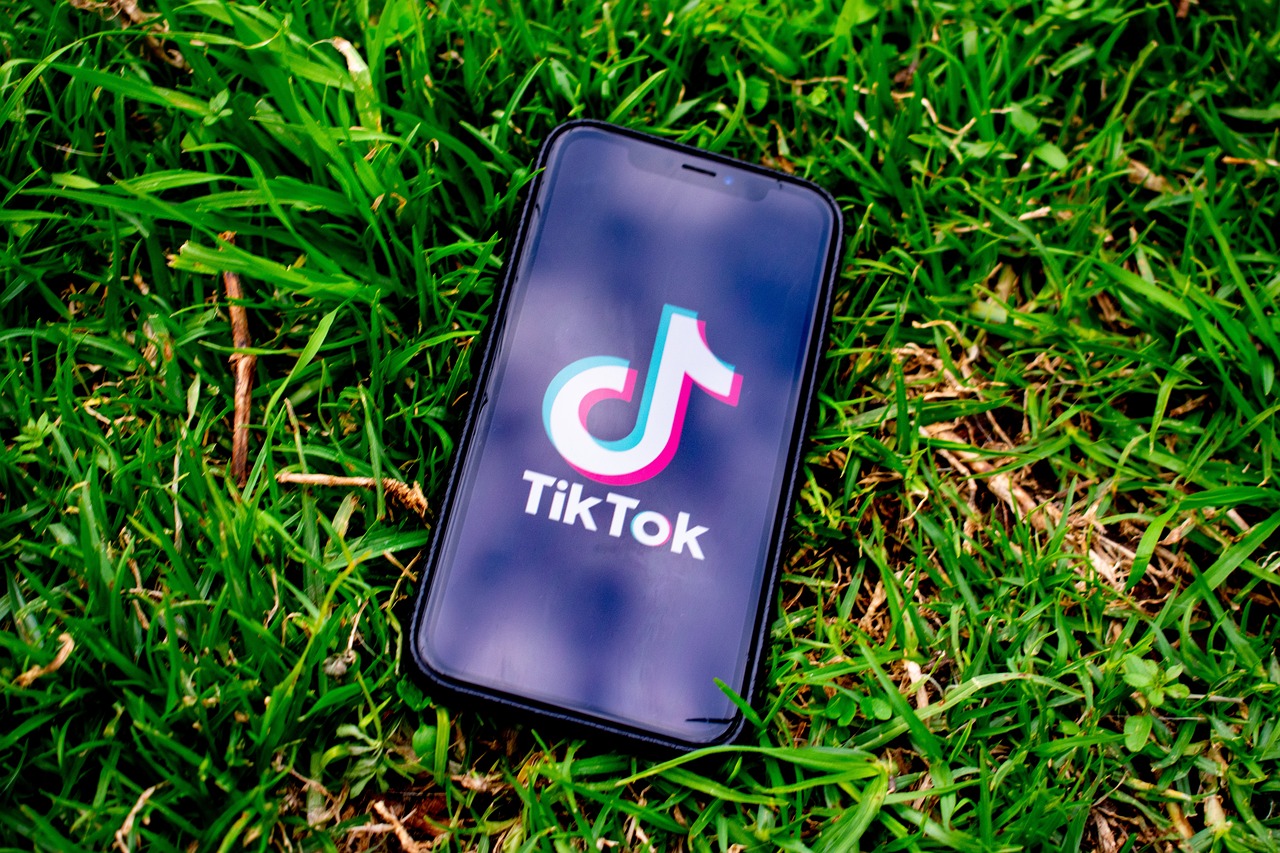 TikTok logo on mobile phone